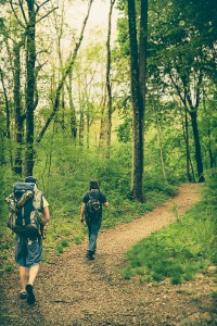 The-Battery-Walking-through-Woods