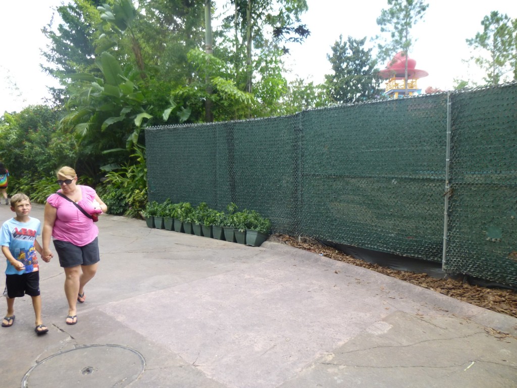 Potted plants on the other side of the path where the arch was located, with the construction zone behind the fence