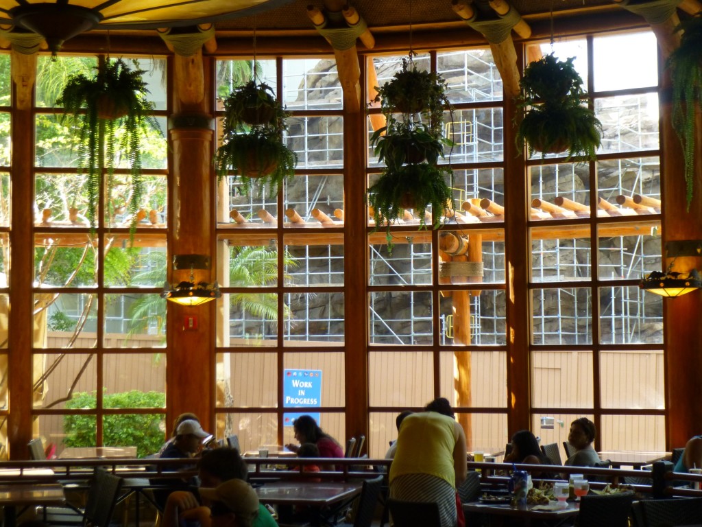 The view from inside Thunder Falls Restaurant