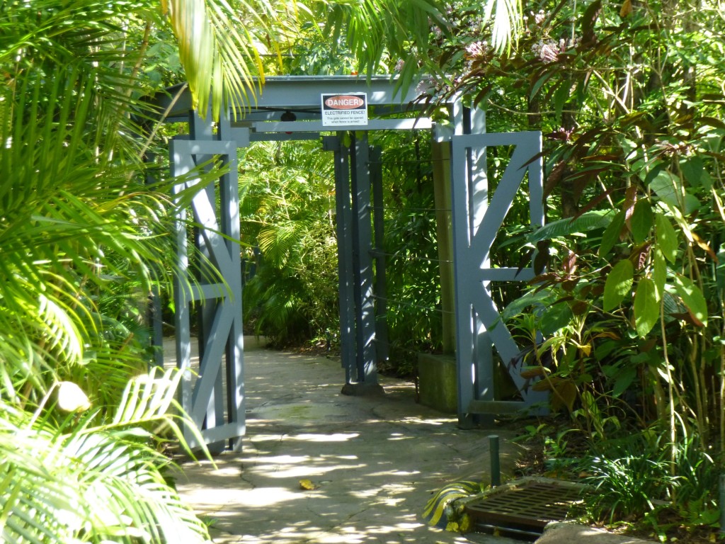 Exit to the now defunct Triceratops Encounter attraction