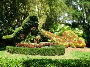 Butterflies topiary