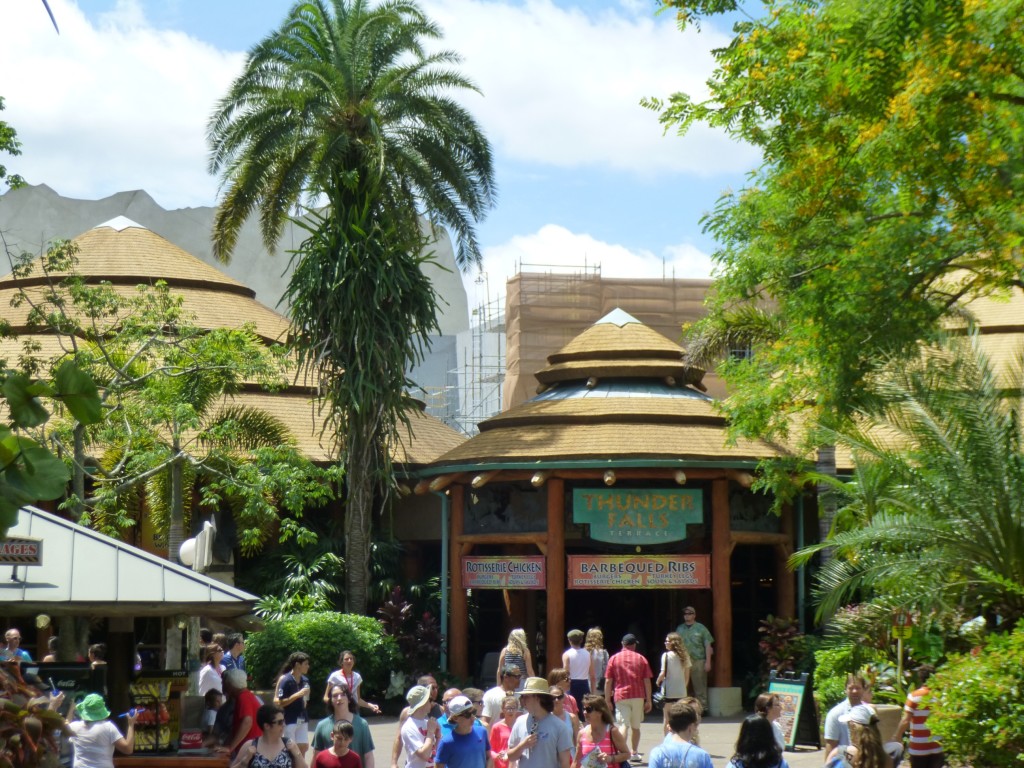 The view behind Thunder Falls Terrace restaurant