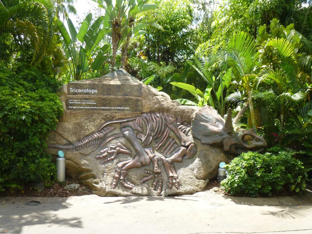 Rumor is the classic Triceratops rock is not being removed. It's very popular for pictures.