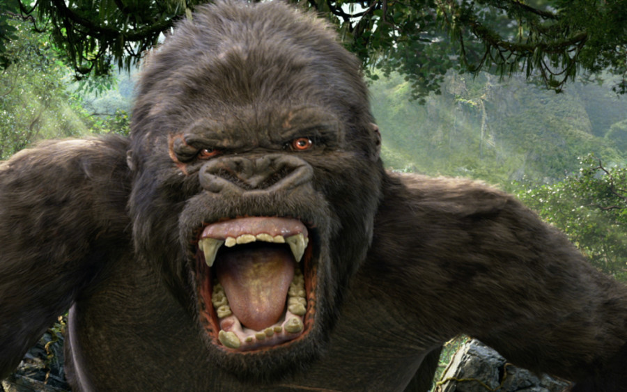 kong-featured-900x563.jpg