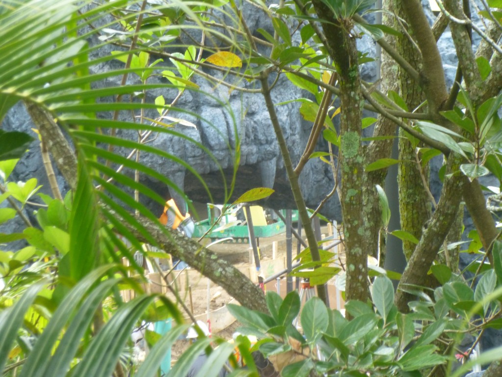 A look inside Kong's mouth: Concrete walkways getting prepared to be poured