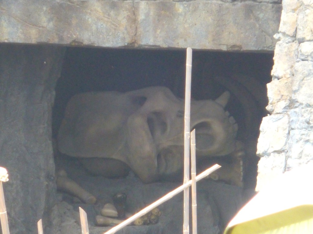 Huge skull and bones seen inside ride vehicle