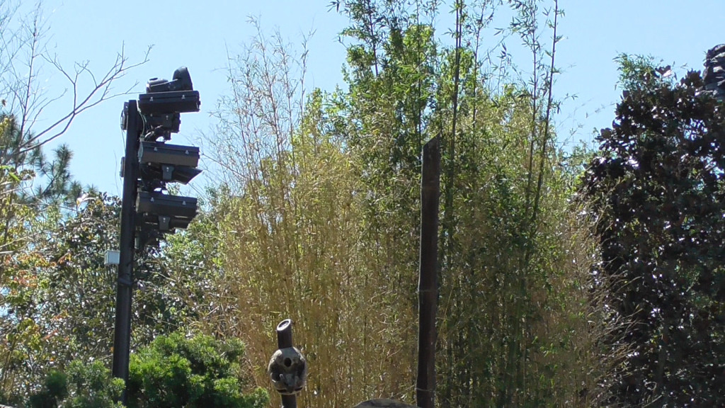 Similar new lighting added near outdoor ride path, facing temple gates