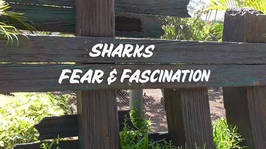 Learn all about Sharks: Fear & Fascination