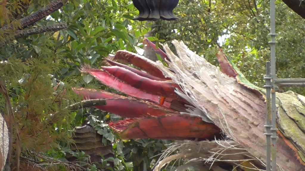 Close up view of wild plant