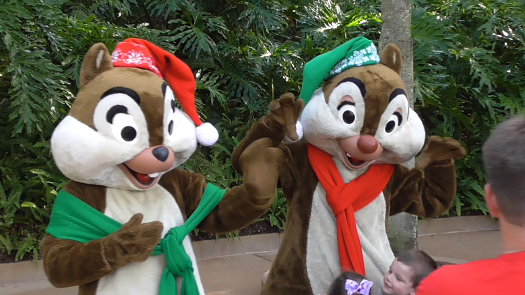 Chip 'n Dale ready for the cold