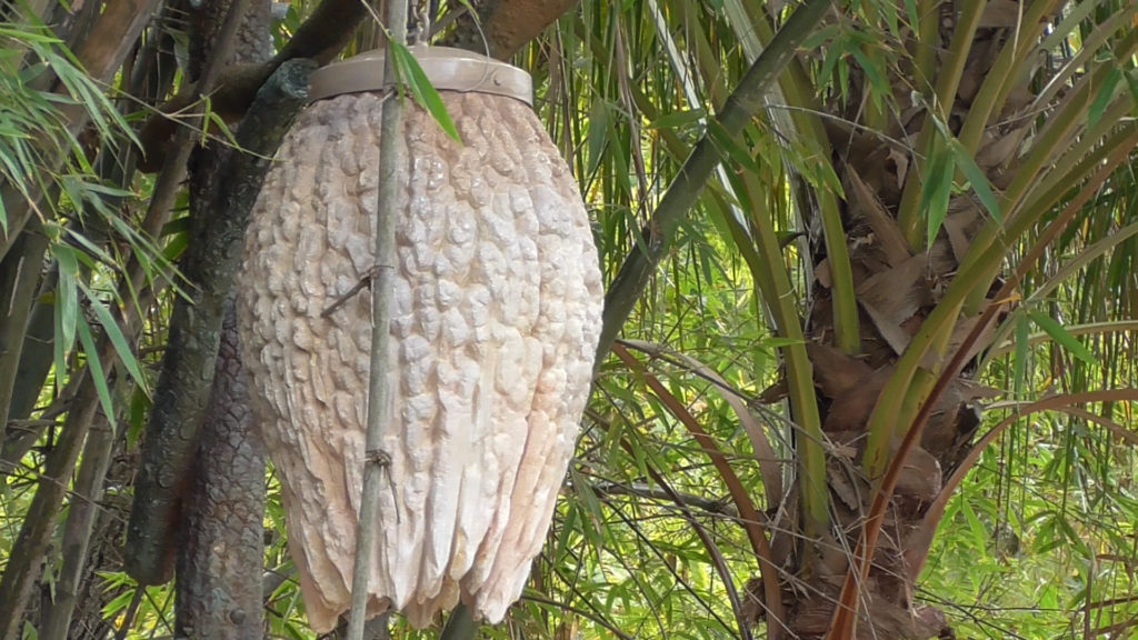 These lanterns made to look like they were made by the Na'vi, but others will look man-made