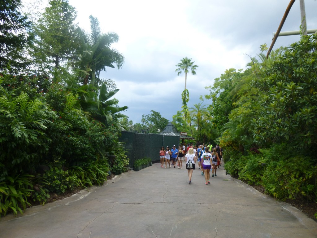 Construction zone  to the left of the path, with Pteranodon Flyers to the right