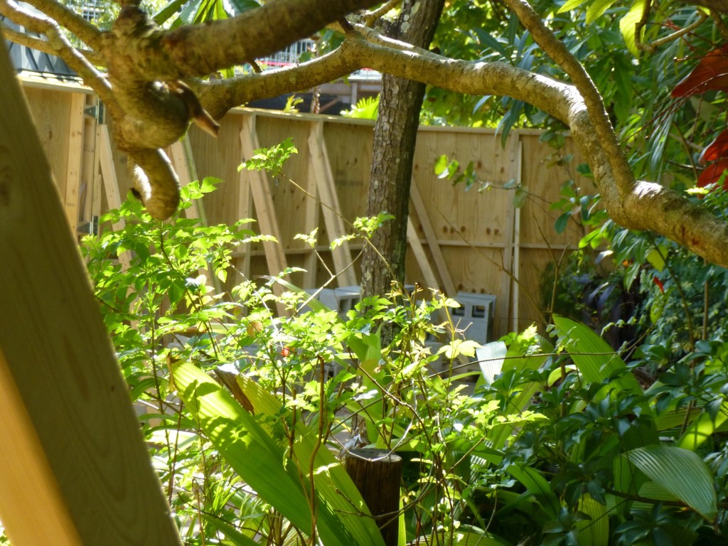 All that can be seen behind the new walls are the cinder blocks holding them up. No telling what they're doing here yet.