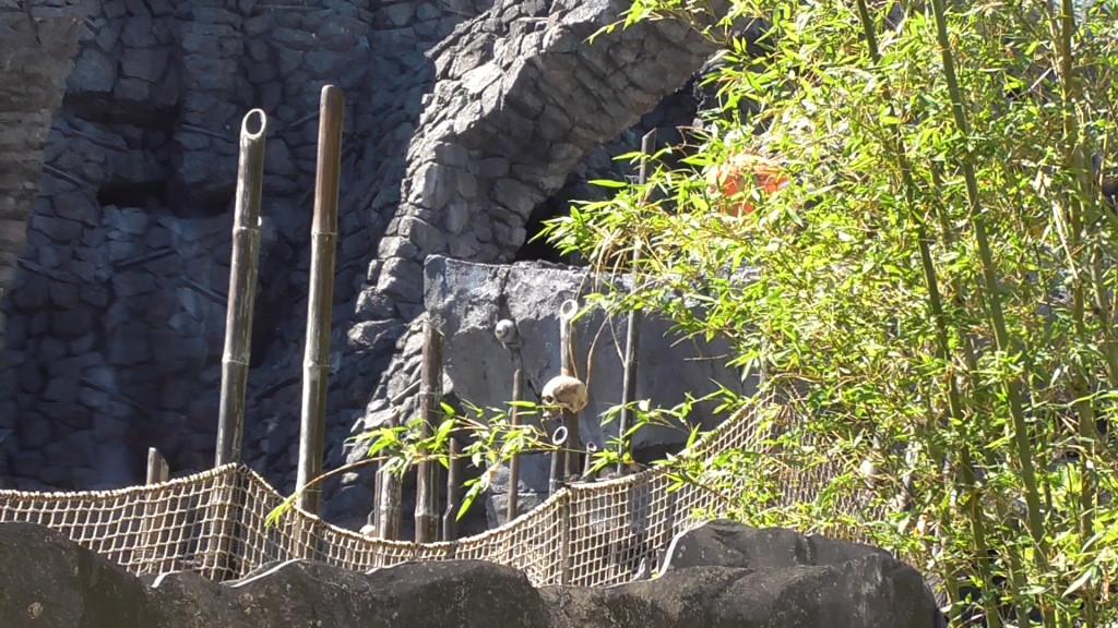 What looks to be a surveillance camera lodged in a rock. Can you spot it?