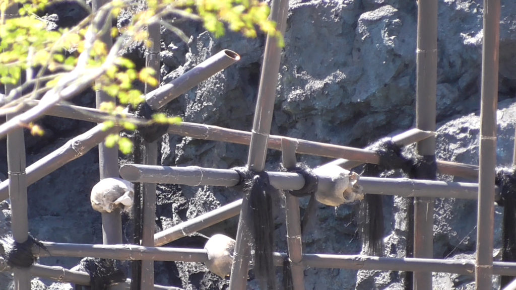 Scary skulls on spears in the center of the ride path