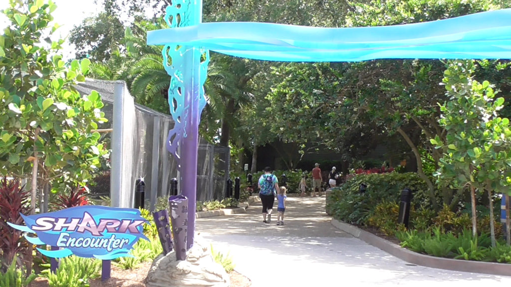 Theming around Shark Encounter entrance