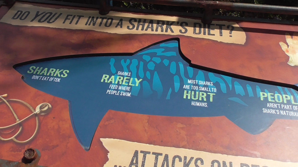 Seeing a hidden message: SHARKS. RARELY. HURT. PEOPLE.