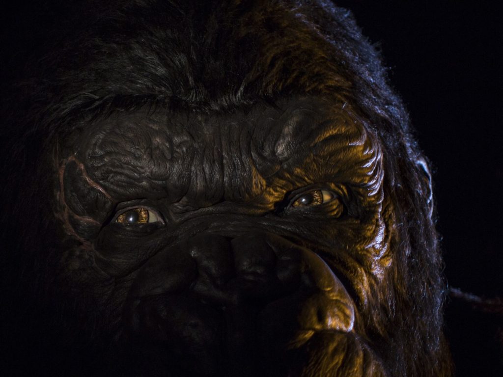 About eight feet away from the truck is Kong in all his glory. With a head the size of a car, he’s so close you can feel his breath. He even expresses human emotion like scrunching down his eyebrows in anger or contorting his face in surprise.