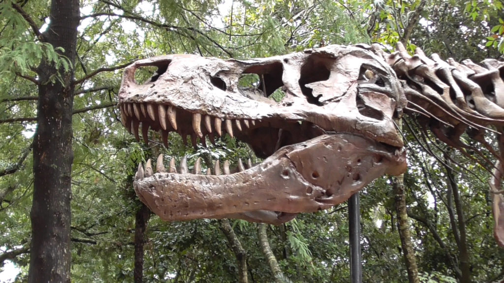 Quick look at Sue, the most complete T-Rex skeleton ever found, before we head out