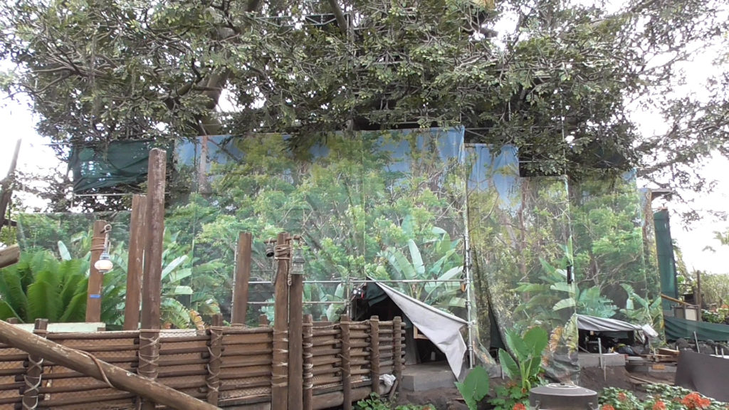 Impressively large jungle scrim